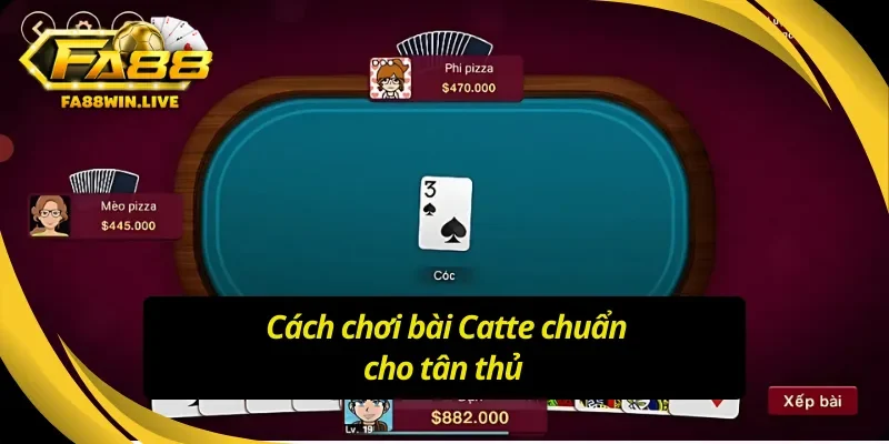 Tìm hiểu cách chơi Catte Fa88, tự tin đặt cược 