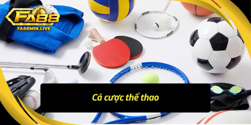 Những hình thức giải trí không thể bỏ lỡ khi đến FA88 