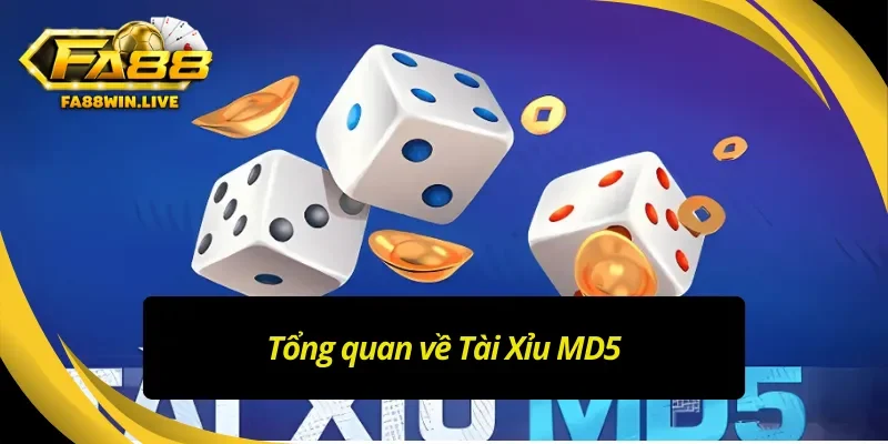 Sơ lược về Tài Xỉu MD5