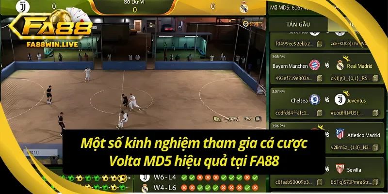 Bật mí kinh nghiệm chinh phục Volta MD5 hiệu quả